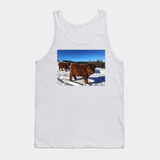 Scottish Highland Cattle Calves 1696 Tank Top